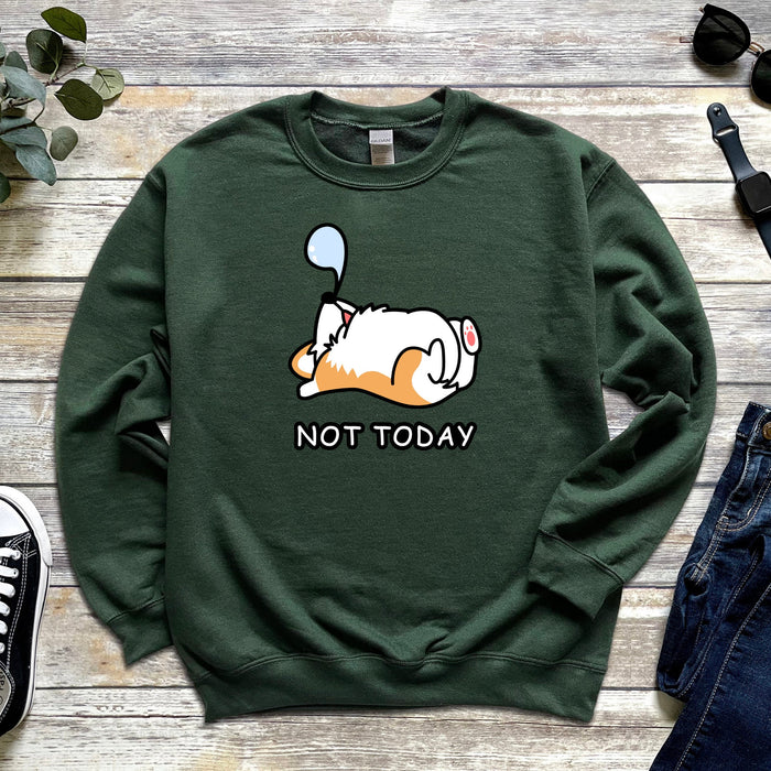 Sleeping Dog "Not Today"  Unisex Sweatshirt | Puppy Dog Mom Corgi Shirt Cute Shiba Inu Doge Dog Dogecoin Japanese Streetwear Snoozing Nap