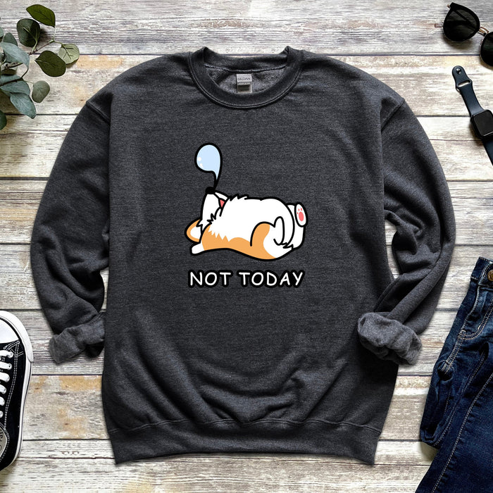 Sleeping Dog "Not Today"  Unisex Sweatshirt | Puppy Dog Mom Corgi Shirt Cute Shiba Inu Doge Dog Dogecoin Japanese Streetwear Snoozing Nap