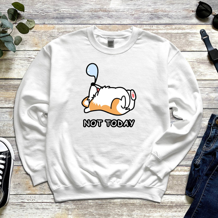 Sleeping Dog "Not Today"  Unisex Sweatshirt | Puppy Dog Mom Corgi Shirt Cute Shiba Inu Doge Dog Dogecoin Japanese Streetwear Snoozing Nap