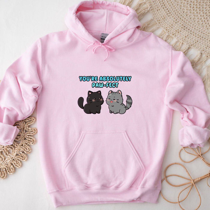 a pink hoodie with two cats on it