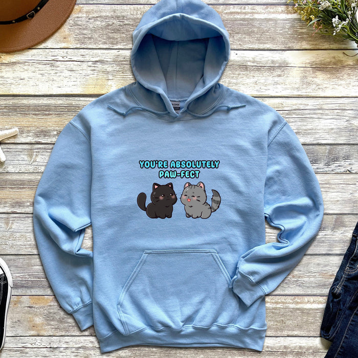 a blue hoodie with two cats on it