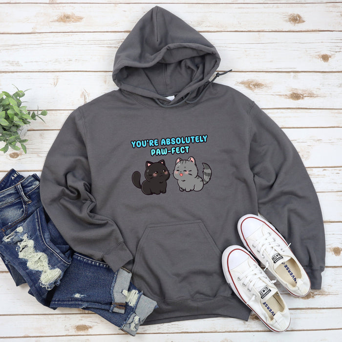a gray hoodie with two cats on it